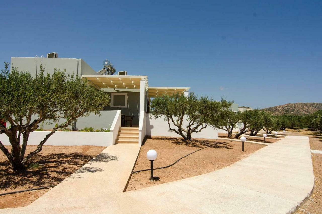 Giorgos Villa Palékastro Eksteriør bilde