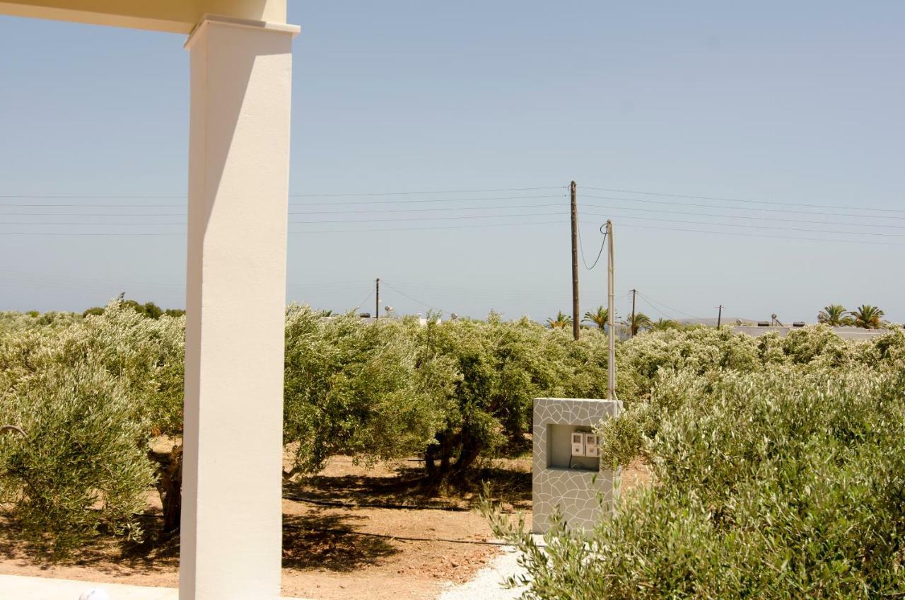 Giorgos Villa Palékastro Eksteriør bilde